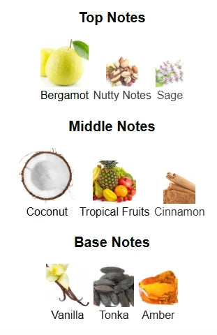Armaf Odyssey Artisto - 1ml Decant