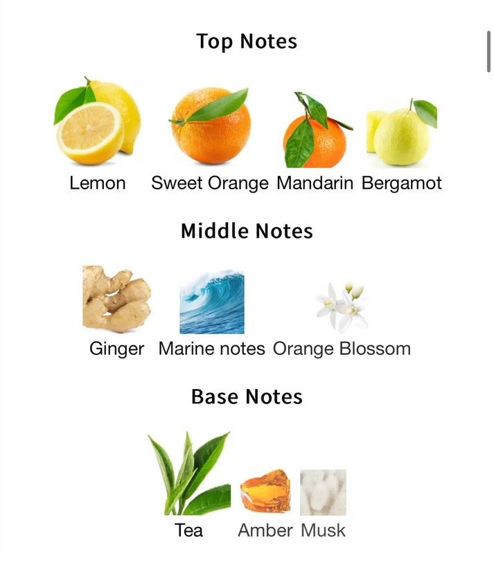 Armaf Odyssey Limoni - 1ml Decant