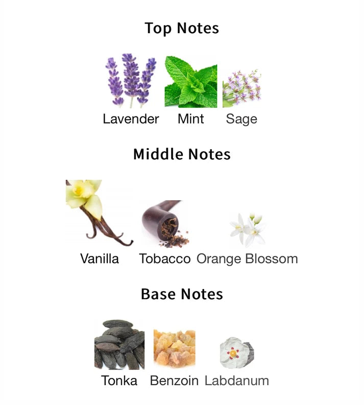 Lattafa The Kingdom - 1ml Decant